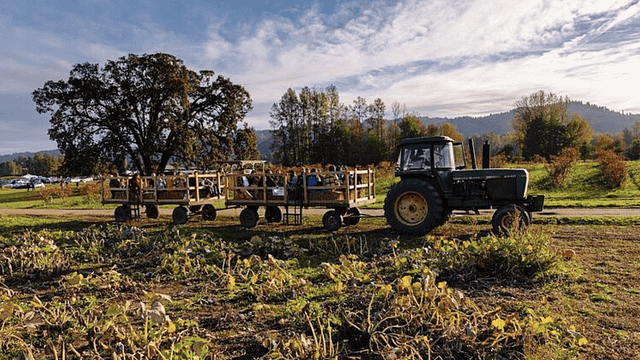 Tractor-rides-1.png